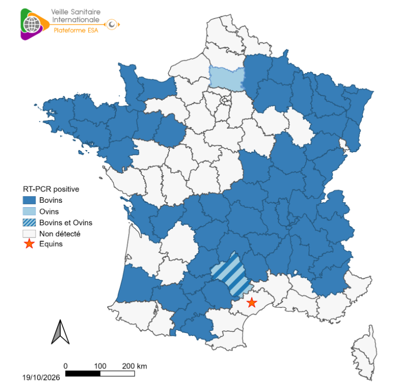 Pays pour lesquels au moins un foyer de Shamonda-Europe a été détecté selon la période connue de détection au 18/10/2026 (BHVSI)