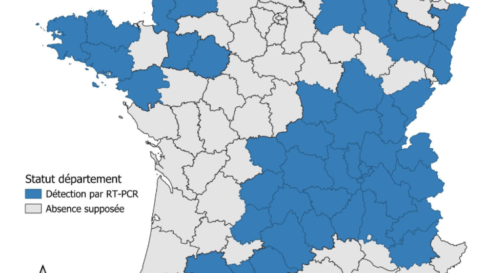 Nouveau virus Shamonda-Europe