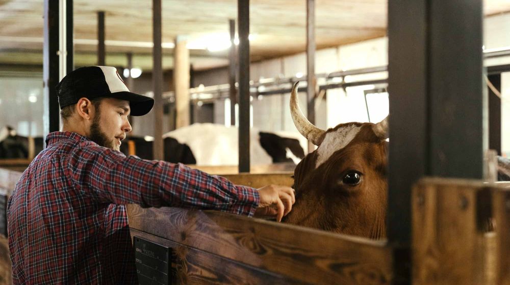 GDS Cantal, Groupement de défense sanitaire