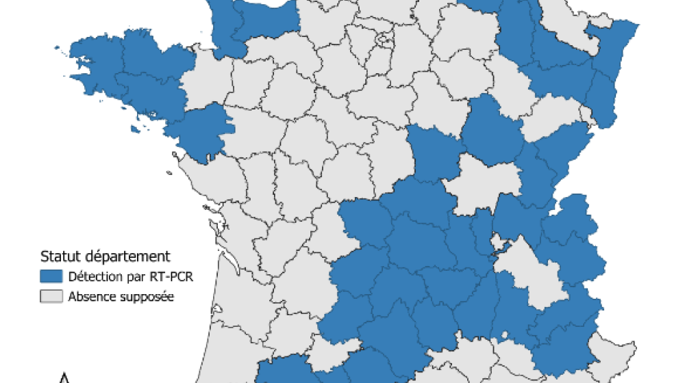 Nouveau virus Shamonda-Europe