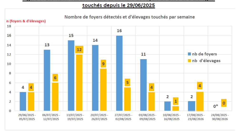 DNC - Graphique du nombre de foyers détectés et d'élevages touchés par semaine